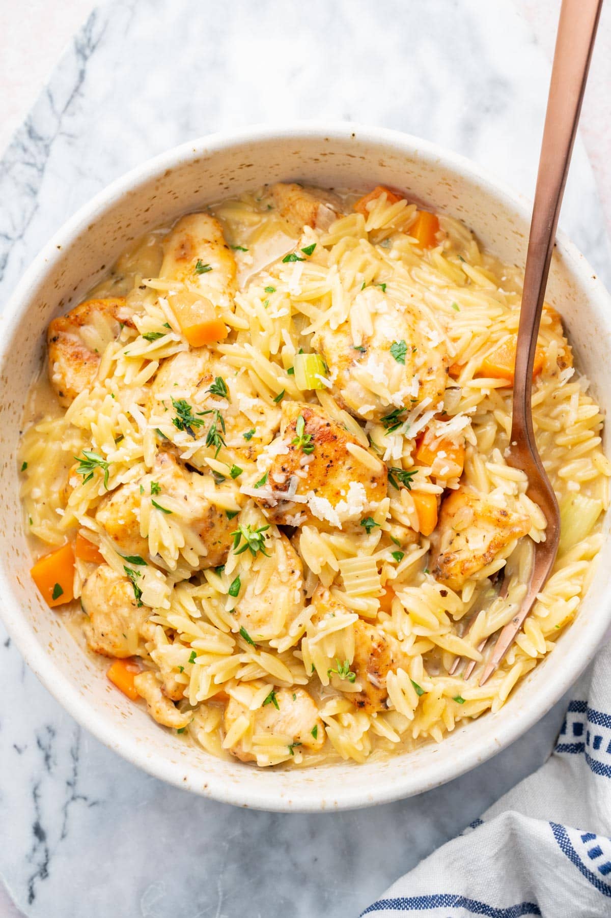 Creamy chicken orzo in a white plate.